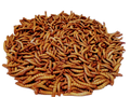 Mealworms